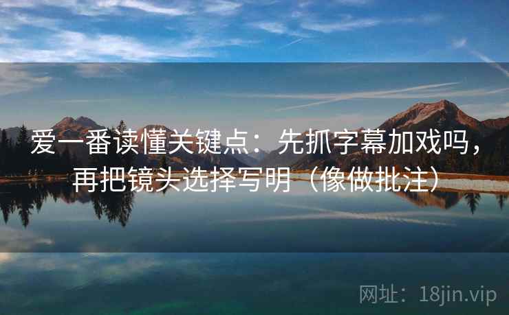 爱一番读懂关键点：先抓字幕加戏吗，再把镜头选择写明（像做批注）  第2张