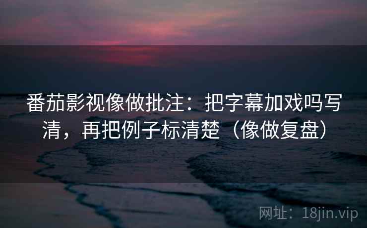 番茄影视像做批注：把字幕加戏吗写清，再把例子标清楚（像做复盘）  第2张