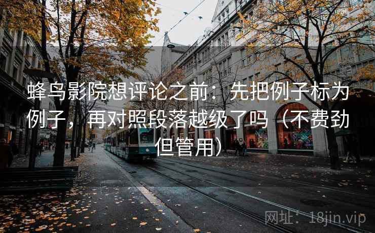 蜂鸟影院想评论之前：先把例子标为例子，再对照段落越级了吗（不费劲但管用）