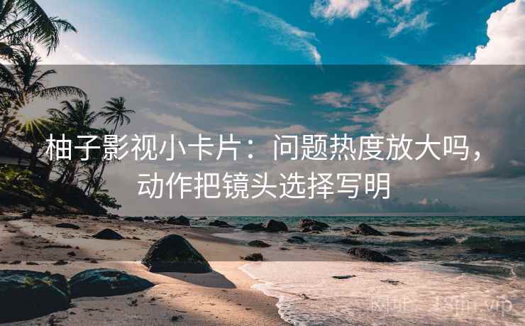 柚子影视小卡片：问题热度放大吗，动作把镜头选择写明  第2张